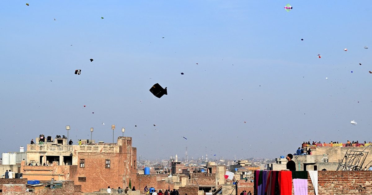 Kites over the packed rooftops of Lahore's old city during Basant