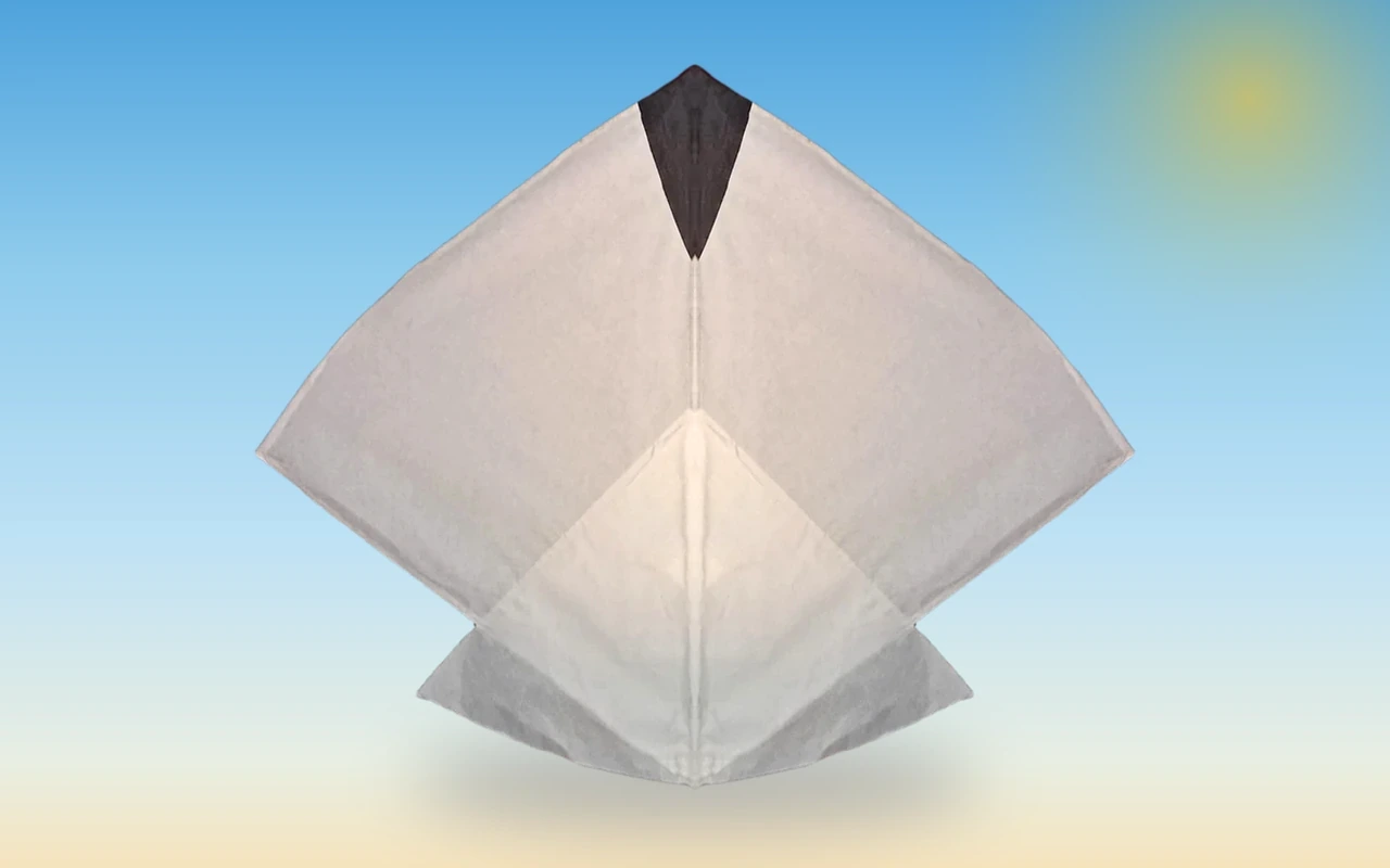 1 Tawa Kite from Basant Shop