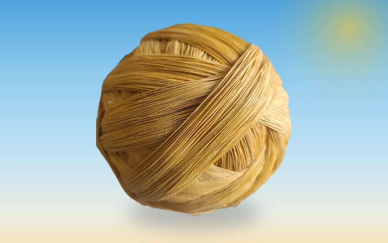 Pinna — 2 Piece from Basant Shop